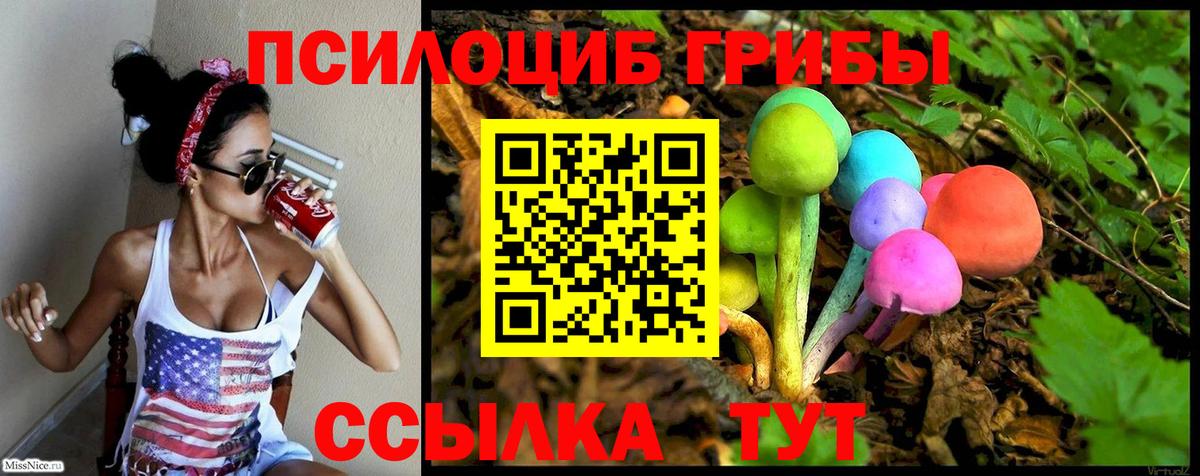 Галлюциногенные грибы Psilocybe Владикавказ
