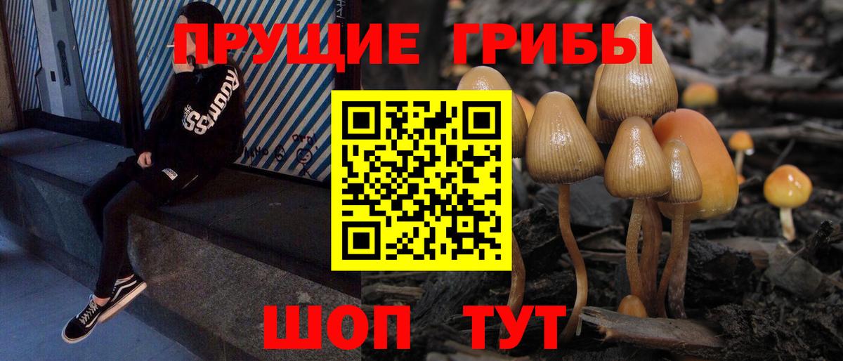 Галлюциногенные грибы мухоморы Владикавказ